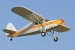 argus_coffey_75.jpg