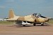 ../acimages/bac167_turtle_75.jpg