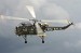 ../acimages/wasp_brianspurr_75.jpg